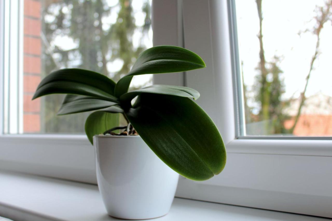 Studioapartman M Valpovo Zewnętrze zdjęcie